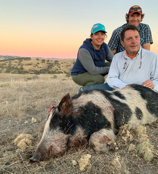 Hunt the wild boar in Paso Robles.